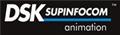 DSK Supinfocom Company Logo
