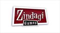 Zindagi Games, Inc. Company Logo
