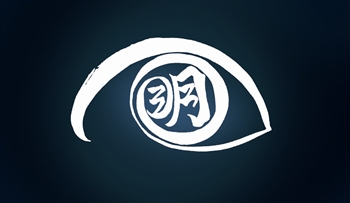 West Coast Vision Labs Company Logo