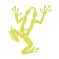 Dart Frog Creative Company Logo