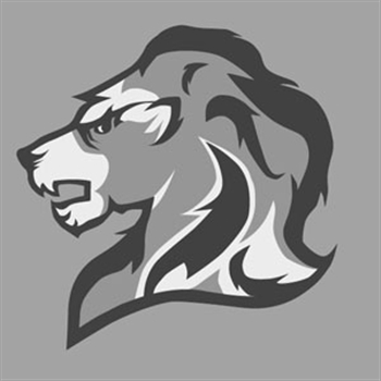 Lion Visual Effects Inc. Company Logo