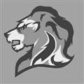Lion Visual Effects Inc. Company Logo