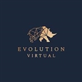 Evolution Virtual Company Logo