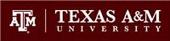 Texas A&M University - Department of Visualization  Company Logo