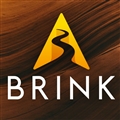 BRINK XR Company Logo