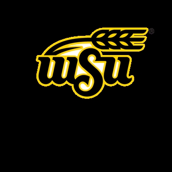 Wichita State University School of Digital Arts Company Logo