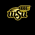 Wichita State University School of Digital Arts Company Logo